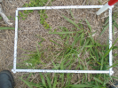 PA_1936_2_106d