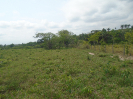 PA_1936_3_107