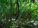 PA_2029_0_71