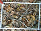 PA_2029_1_73a