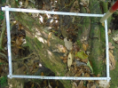 PA_2029_1_74b