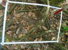PA_2029_1_75c