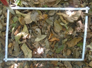 PA_2029_1_76d