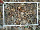 PA_2029_2_78a