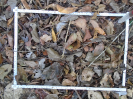 PA_2029_2_79b