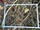 PA_2029_2_81d