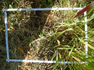 PA_2030_1_05b