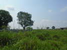 PA_2033_0_174 (2)