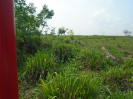 PA_2033_1_175