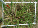 PA_2033_1_176a