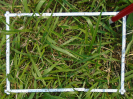 PA_2033_1_178c