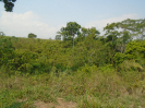 PA_2033_2_180
