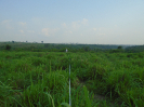 PA_2033_3_185