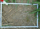 PA_2033_3_186a (2)