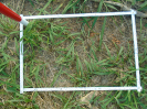PA_2033_3_189d (2)