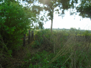 PA_2033_4_190 (2)