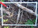 PA_2033_4_191a (2)