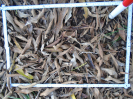 PA_2033_4_192b