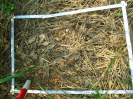 PA_2033_4_194c (2)