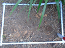 PA_2033_4_195d (2)