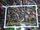 PA_2035_3_106a (2)