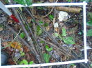 PA_2035_3_111d (2)