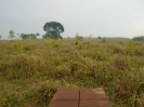 PA_2035_4_113 (2)