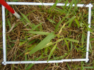 PA_2035_4_114a (2)