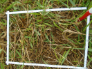 PA_2035_4_115b