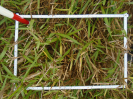 PA_2035_4_117d (2)