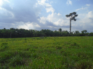 PA_2036_1_120 (2)