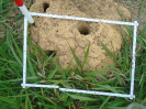 PA_2036_1_72a (2)