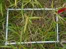 PA_2036_1_73b (2)