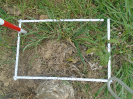 PA_2036_1_75d (2)