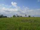 PA_2036_2_121