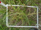 PA_2036_2_77a
