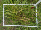 PA_2036_2_78b