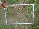 PA_2036_3_83a