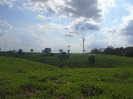 PA_2036_4_122 (2)