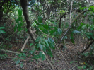 PA_2037_3_101
