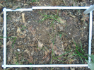 PA_2039_1_124b (2)