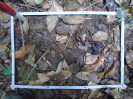 PA_2076_1_225a
