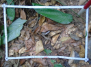 PA_2076_1_226b