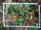 PA_2076_1_227c
