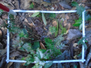 PA_2076_1_228d