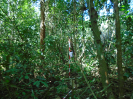 PA_2076_2_229