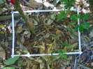 PA_2076_2_230a