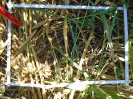PA_2078_1_186a