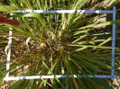 PA_2078_1_189d