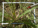 PA_2078_2_193c